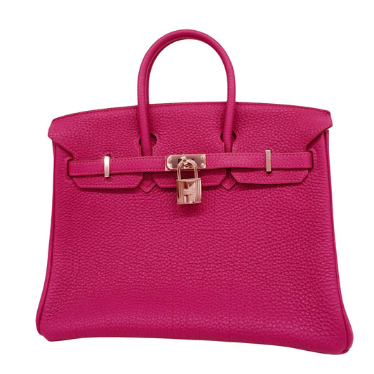 Hermès Birkin 25 Purple Leather Hand Bag