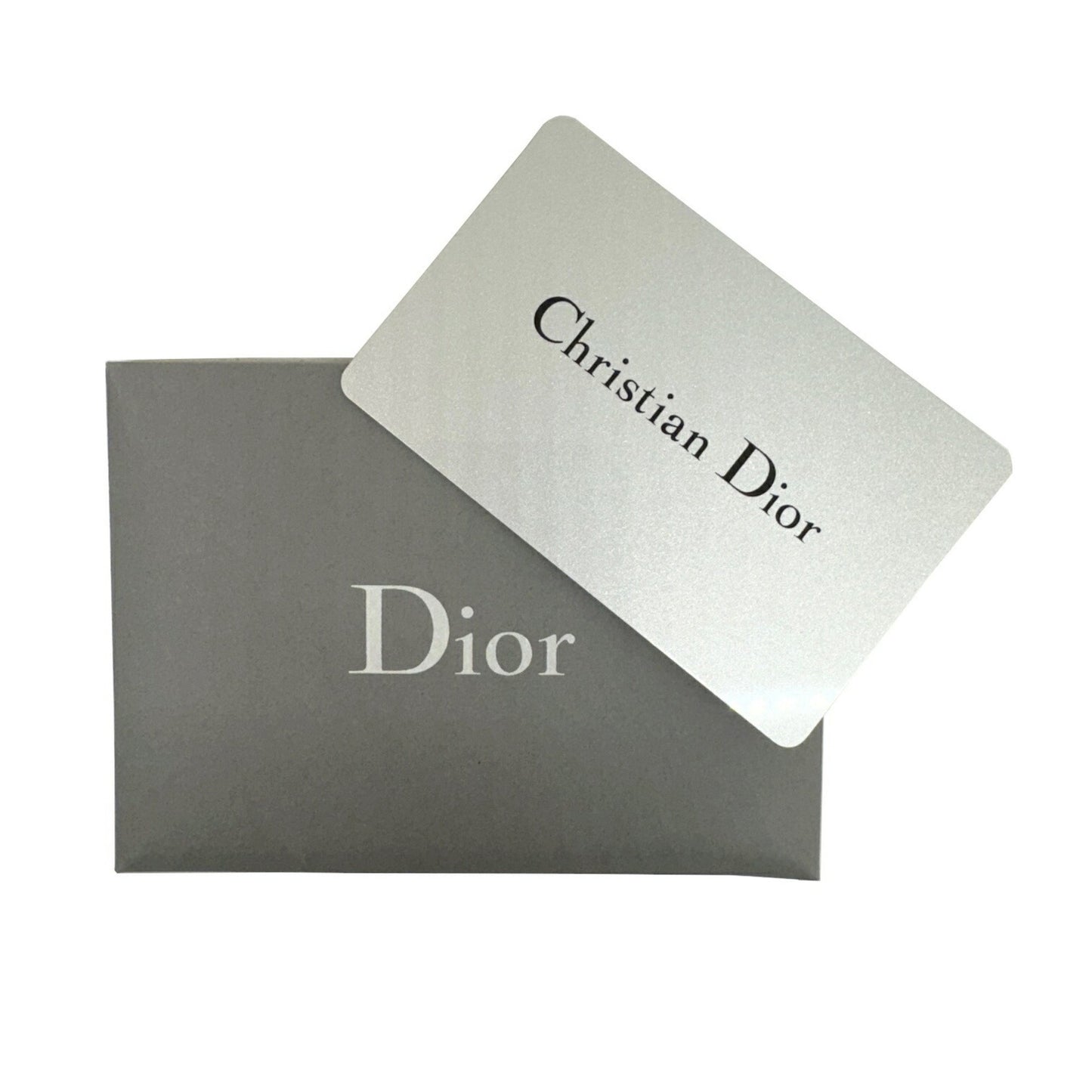 Dior Lady D-Light Grey Canvas Hand Bag