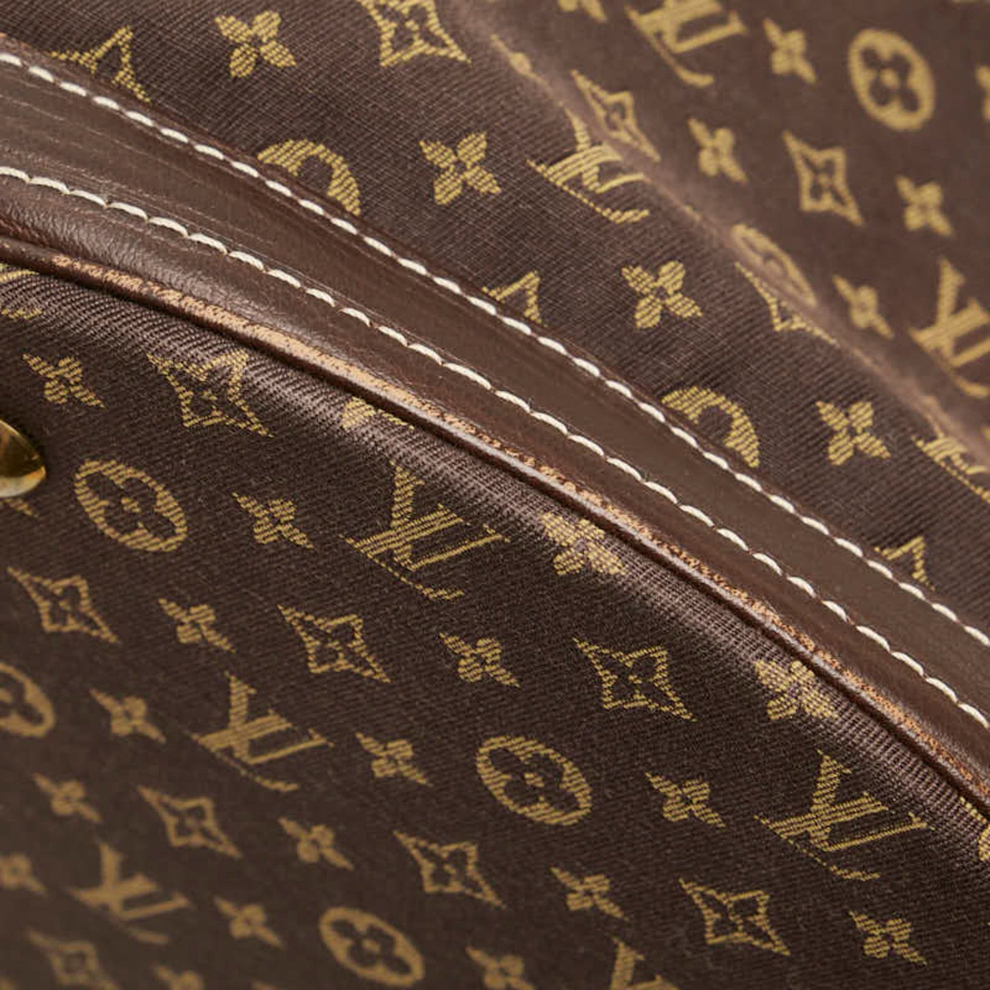 Louis Vuitton Bucket Brown Canvas Tote Bag