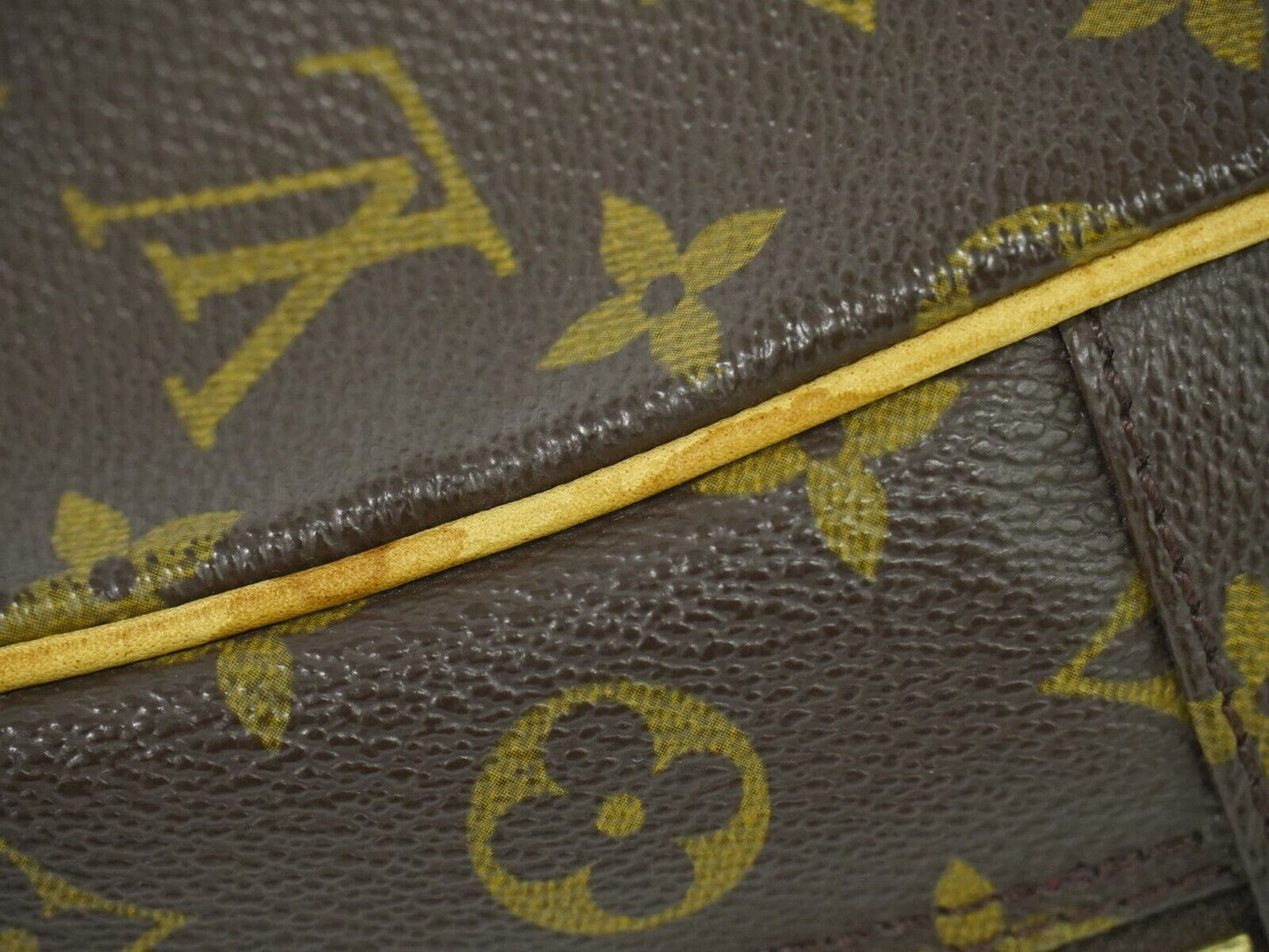 Louis Vuitton Excentri cité Brown Canvas Hand Bag