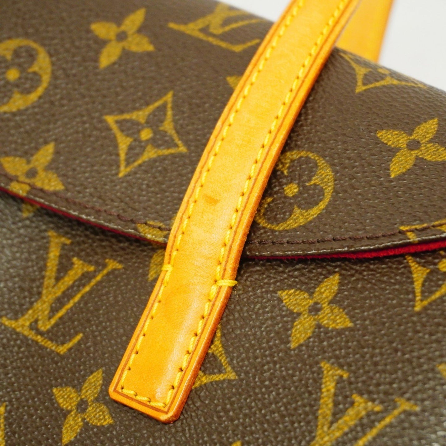 Louis Vuitton Sonatine Brown Canvas Hand Bag