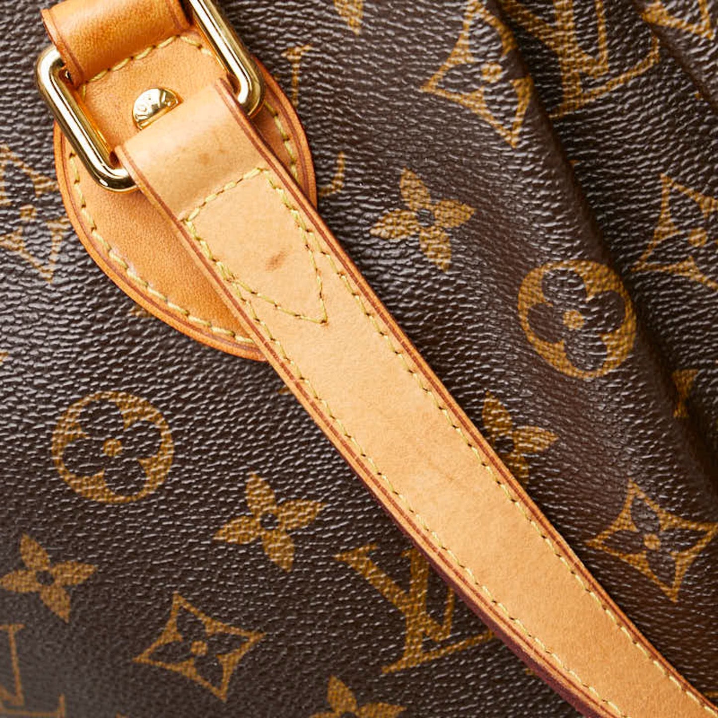 Louis Vuitton Palermo PM Brown Canvas Tote Bag