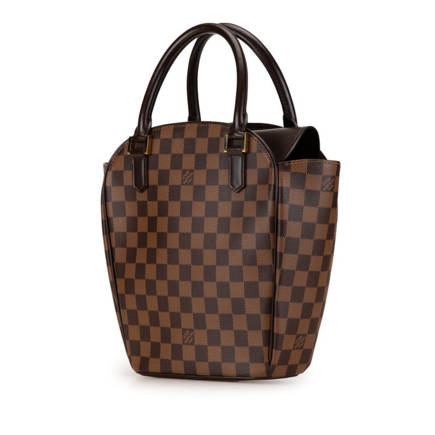 Louis Vuitton Saria Brown Canvas Hand Bag