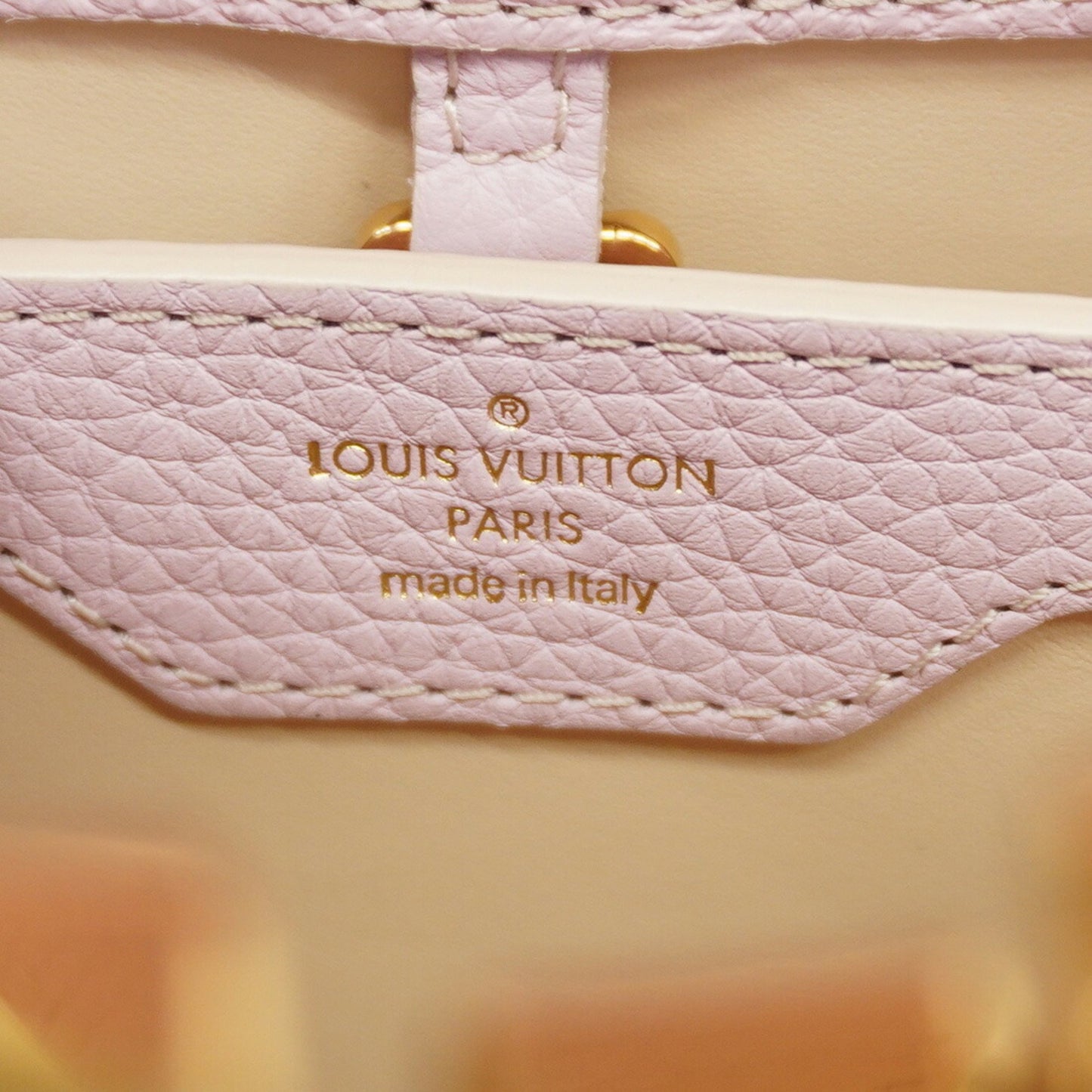 Louis Vuitton Capucines Pink Leather Hand Bag