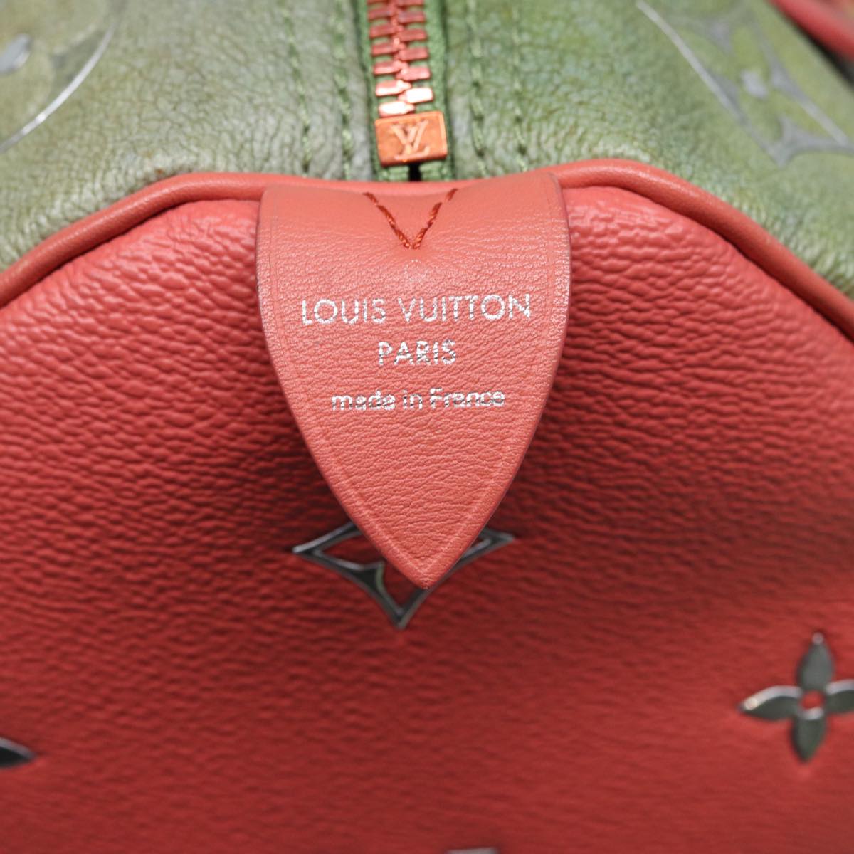 Louis Vuitton Speedy 30 Multicolour Canvas Hand Bag