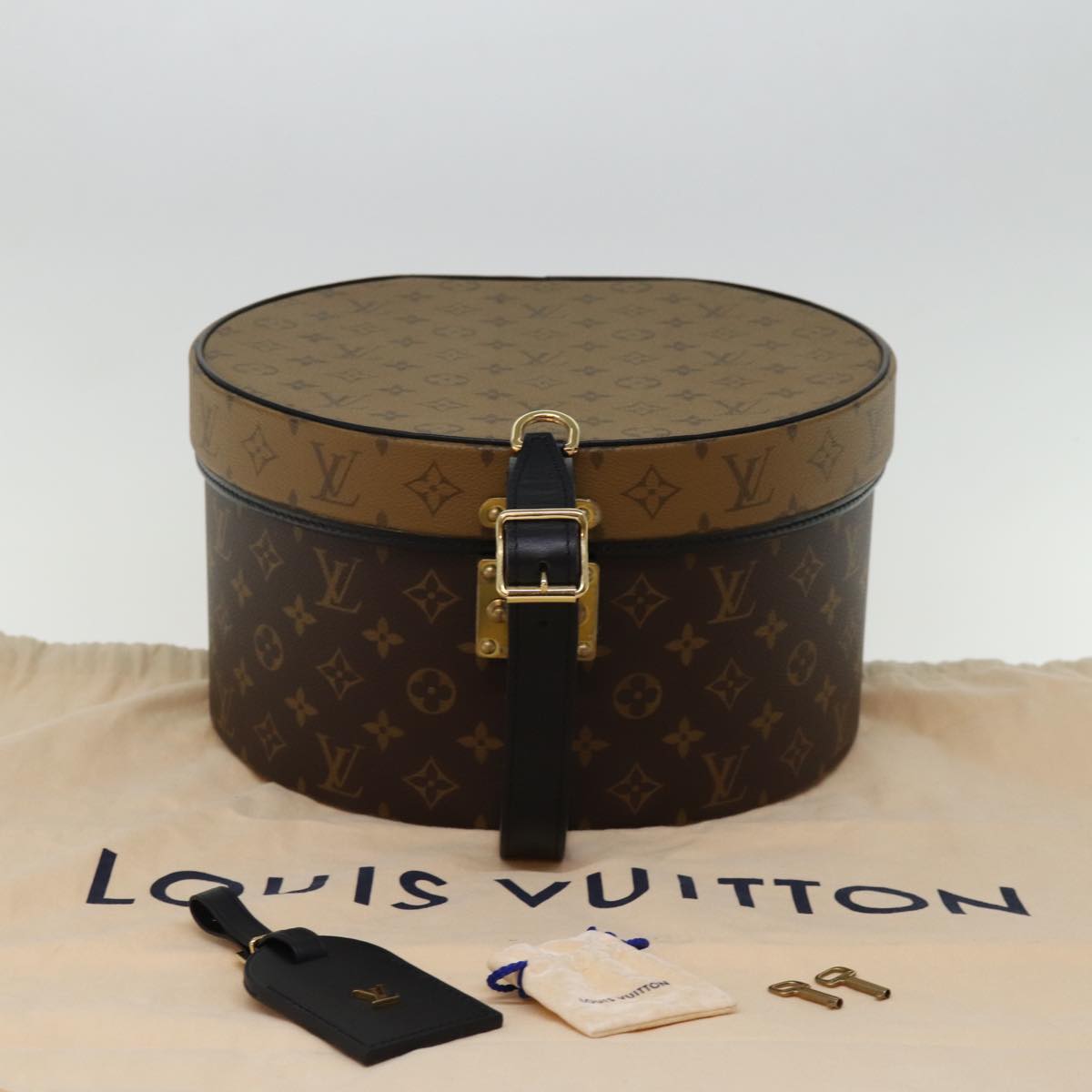 Louis Vuitton Reverse Brown Canvas Hand Bag