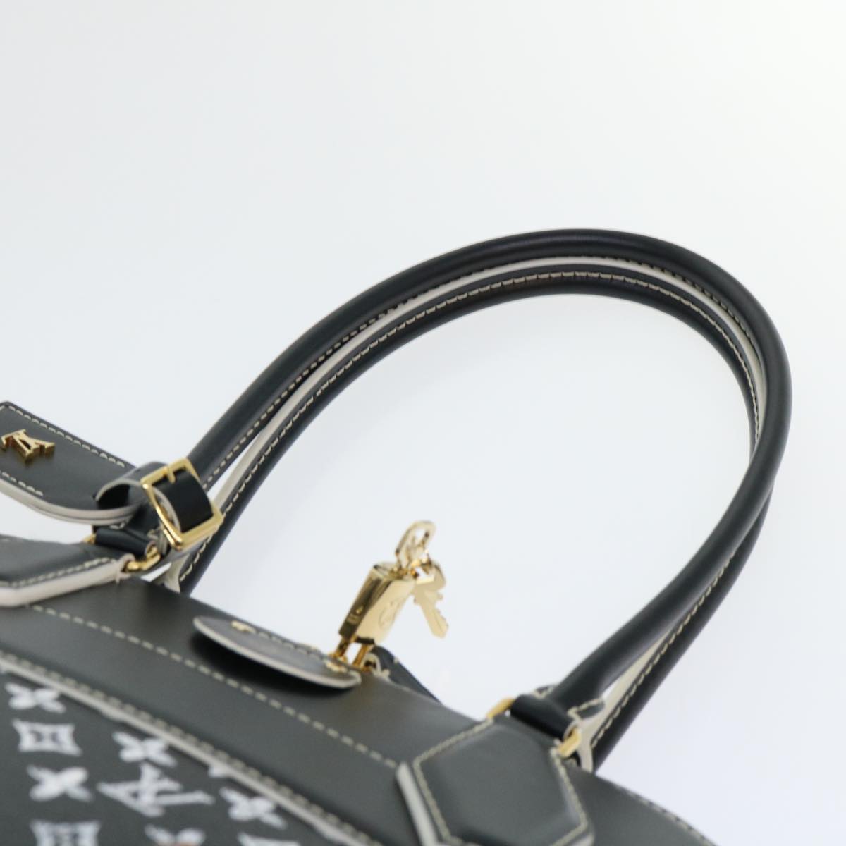 Louis Vuitton Alma Black Canvas Hand Bag