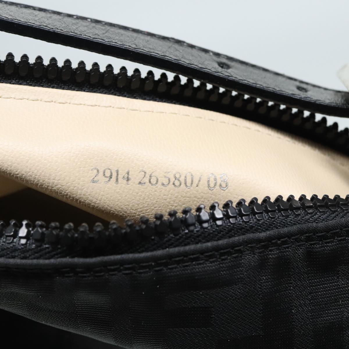 Fendi Black Canvas Hand Bag