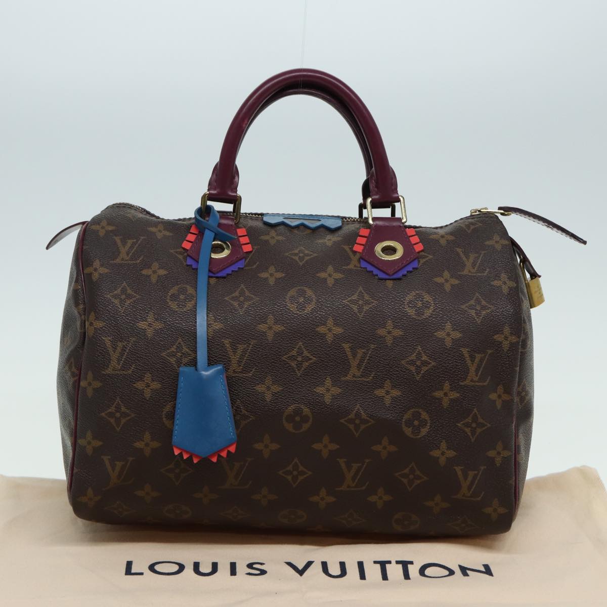 Louis Vuitton Speedy 30 Brown Canvas Hand Bag