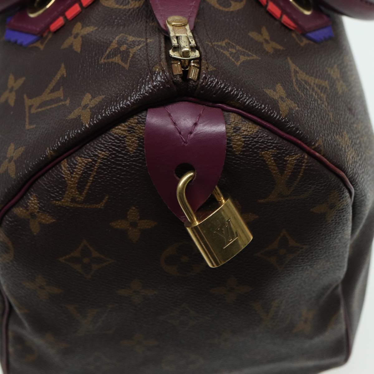 Louis Vuitton Speedy 30 Brown Canvas Hand Bag