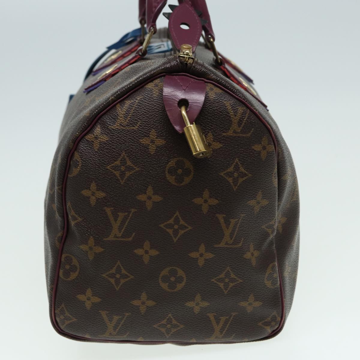 Louis Vuitton Speedy 30 Brown Canvas Hand Bag