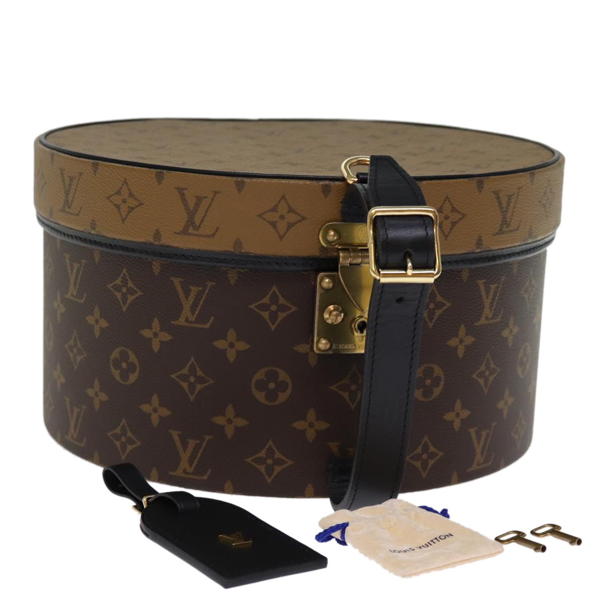 Louis Vuitton Reverse Brown Canvas Hand Bag